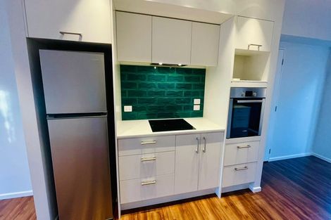 Photo of property in 67 Essex Street, Phillipstown, Christchurch, 8011