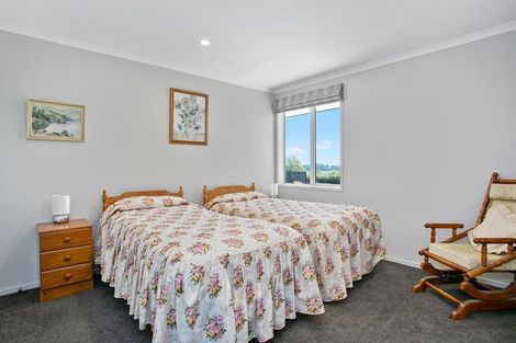 Photo of property in 87 Te Hoe Road, Orini, Taupiri, 3792