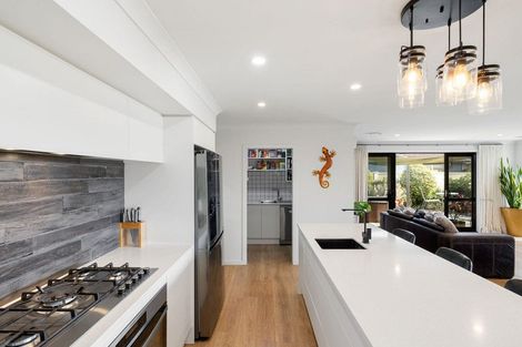 Photo of property in 17 Alan Livingston Drive, Cambridge, 3434