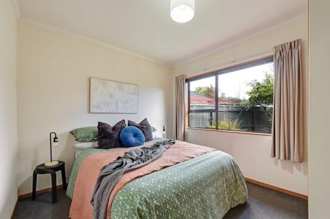 Photo of property in 3 Ledger Close, Richmond, 7020