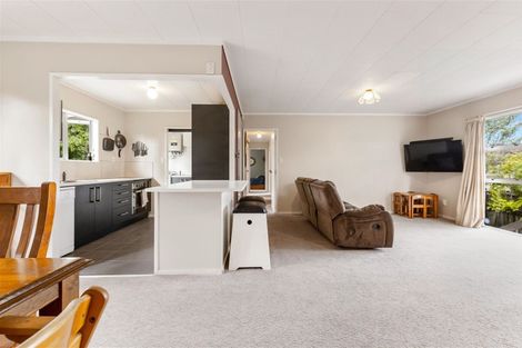 Photo of property in 58 Hindmarsh Street, Henderson, Auckland, 0612