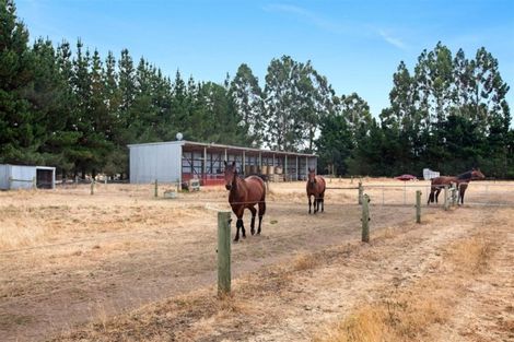 Photo of property in 60 Eyredale Road, Eyrewell, Rangiora, 7476