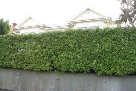 Photo of property in 11 Kilgour Street, Roslyn, Dunedin, 9010