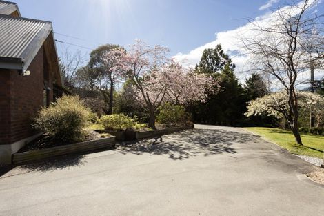 Photo of property in 51 Flower Street, Fairfield, Dunedin, 9018