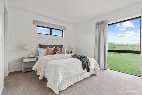 Photo of property in 437 Pinfold Road, Papatawa, 4998