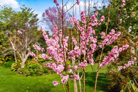 Photo of property in 145 Jones Road, Tawharanui Peninsula, Warkworth, 0986