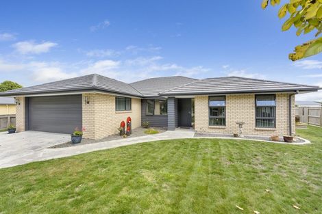 Photo of property in 9 Lakewood Grove, Levin, 5510