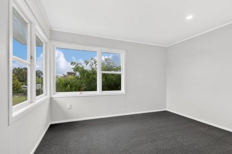 Photo of property in 163 Arapuni Street, Putaruru, 3411