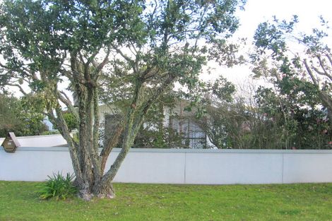 Photo of property in 219 Barrowclough Road, Whangamata, 3620