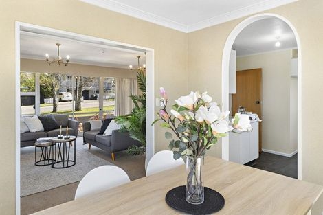 Photo of property in 18 Matipo Street, Lansdowne, Masterton, 5810