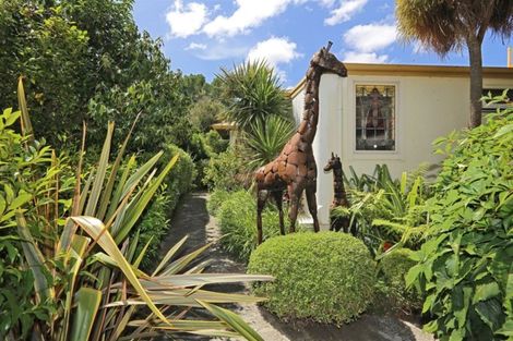 Photo of property in 23 Mchardy Street, Havelock North, 4130