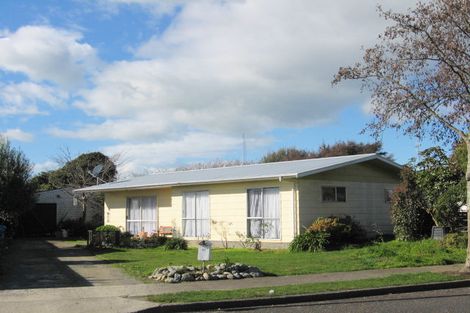 Photo of property in 15 Stirling Street, Levin, 5510