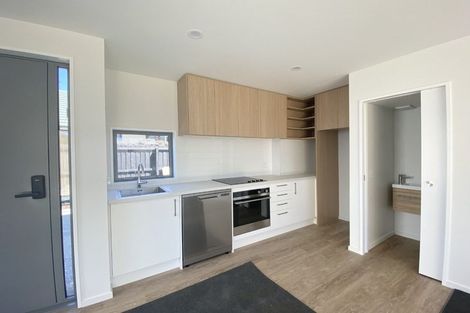 Photo of property in 57b Frankleigh Street, Somerfield, Christchurch, 8024