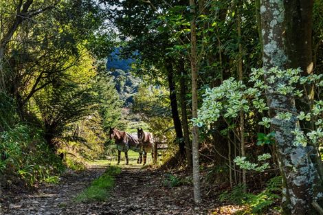 Photo of property in 108 Wairoa Road, Minden, Tauranga, 3171