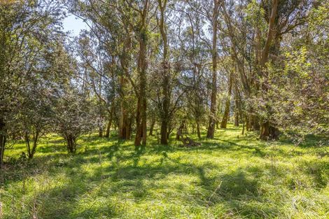 Photo of property in 357a Kahutara Road, Kahutara, 5771