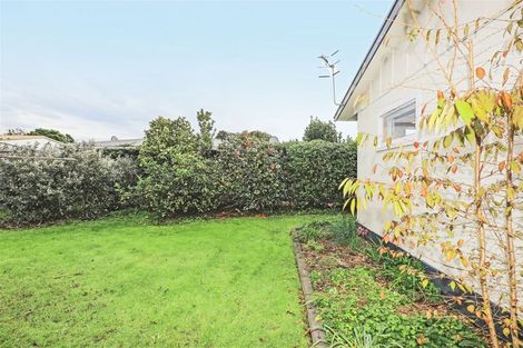 Photo of property in 804a Oxford Street, Saint Leonards, Hastings, 4120