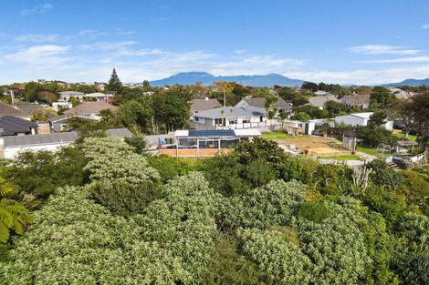 Photo of property in 21a Karaka Street, Merrilands, New Plymouth, 4312