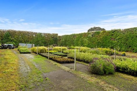 Photo of property in 183 Tasman Street, Opunake, 4616