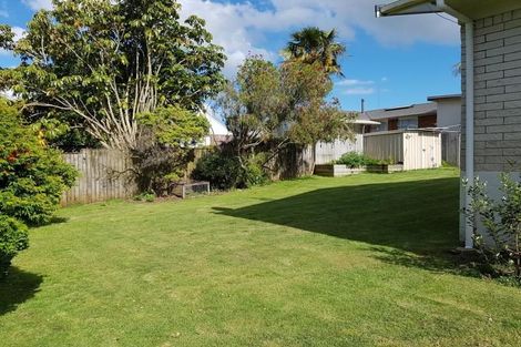Photo of property in 145 Seddon Street, Pukekohe, 2120