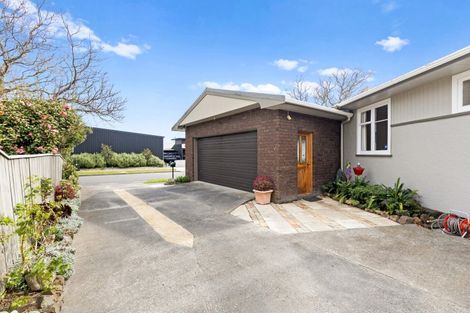 Photo of property in 164 Limbrick Street, Terrace End, Palmerston North, 4410