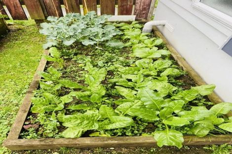 Photo of property in 24 Bruce Avenue, Glenview, Hamilton, 3206