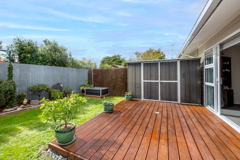 Photo of property in 11b Rimu Street, Lansdowne, Masterton, 5810