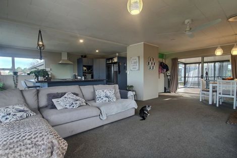 Photo of property in 10 Leeton Drive, Waipukurau, 4200
