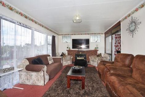 Photo of property in 17 Alexandra Street, Marton, 4710