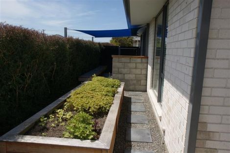 Photo of property in 242a Scott Street, Redwoodtown, Blenheim, 7201