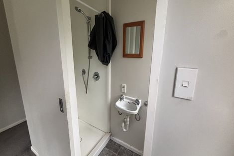 Photo of property in 52 Norway Street, Aro Valley, Wellington, 6012