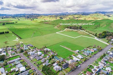 Photo of property in 43a Edward Street, Pahiatua, 4910