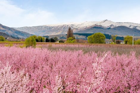 Photo of property in 192 Strode Road, Earnscleugh, Alexandra, 9391