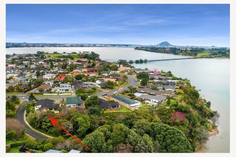 Photo of property in 67 Te Hono Street, Maungatapu, Tauranga, 3112