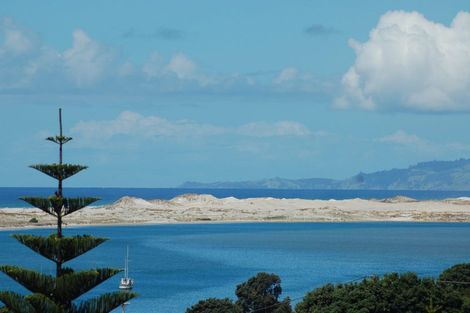 Photo of property in 41 Olsen Avenue, Mangawhai Heads, Mangawhai, 0505