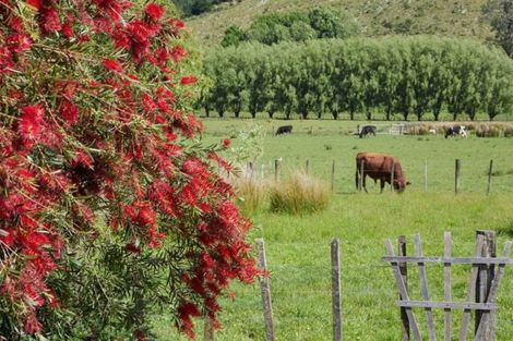 Photo of property in 869 Woodcocks Road, Kaipara Flats, Warkworth, 0981