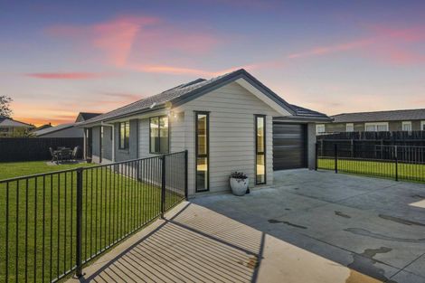 Photo of property in 68 Hinemoa Street, Levin, 5510