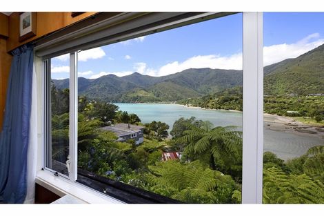 Photo of property in 29 Hope Drive, Okiwi Bay, French Pass, 7193