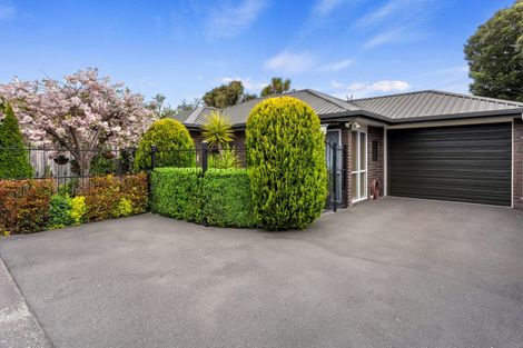 Photo of property in 3/210 Hastings Street East, Waltham, Christchurch, 8023