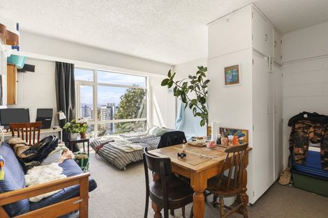 Photo of property in Fairmont Flats, 3c/20 Maarama Crescent, Aro Valley, Wellington, 6021