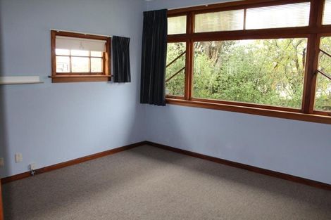Photo of property in 21 Karamu Avenue, Takaro, Palmerston North, 4410