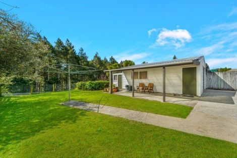 Photo of property in 19 Norrie Street, Bader, Hamilton, 3206