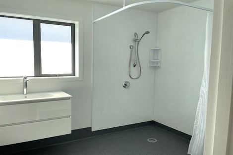 Photo of property in 17a Plunket Street, Saint Kilda, Dunedin, 9012