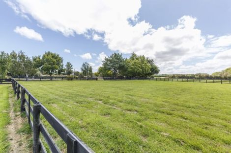 Photo of property in 191 Setters Line, Bunnythorpe, Palmerston North, 4478