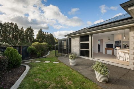 Photo of property in 15 Layla Place, Katikati, 3178