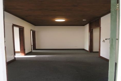 Photo of property in 17 Bidwill Street, Mount Cook, Wellington, 6021