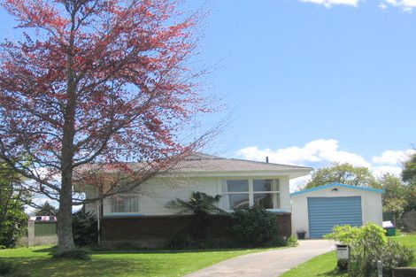 Photo of property in 3 Sheffield Street, Matamata, 3400