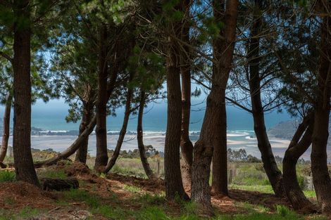 Photo of property in 315 Double Hill Road, Waitati, 9085