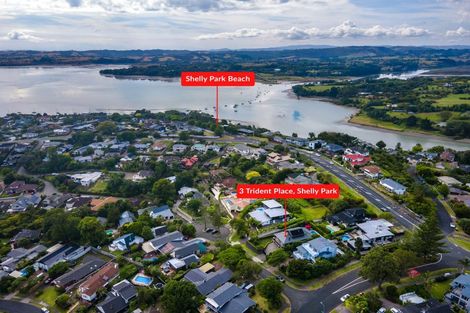 Photo of property in 3 Trident Place, Shelly Park, Auckland, 2014