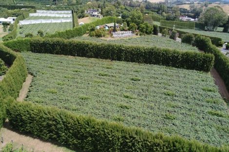 Photo of property in 78 Plummers Point Road, Whakamarama, Tauranga, 3172