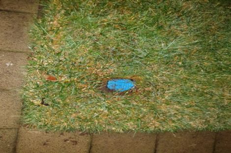 Photo of property in 15a Sandford Place, Chartwell, Hamilton, 3210